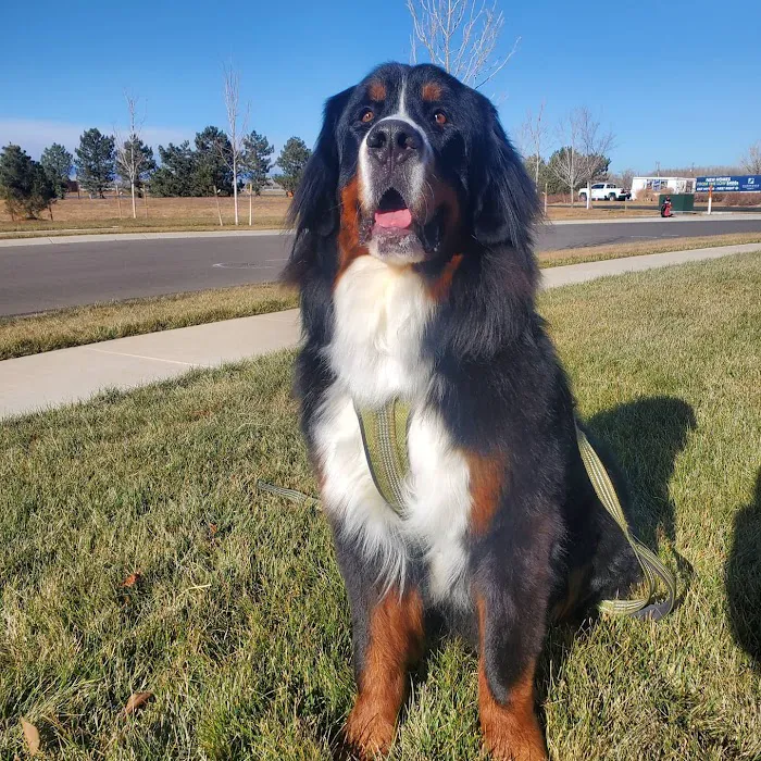 Boyd Lake Veterinary Center 4