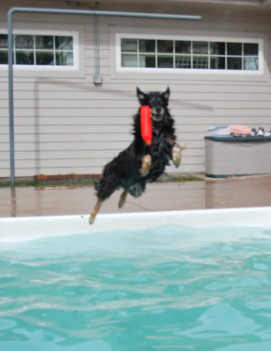 Boyd Lake Veterinary Center 8