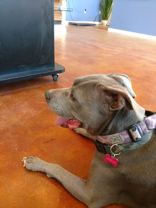 VCA Milliken Animal Hospital 7