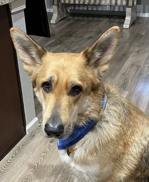 Loveland Veterinary Clinic 3
