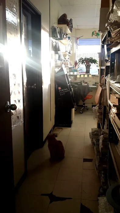Copper Gate Animal Clinic 9