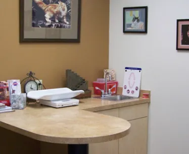 For the Love-Cats Vet Clinic 9