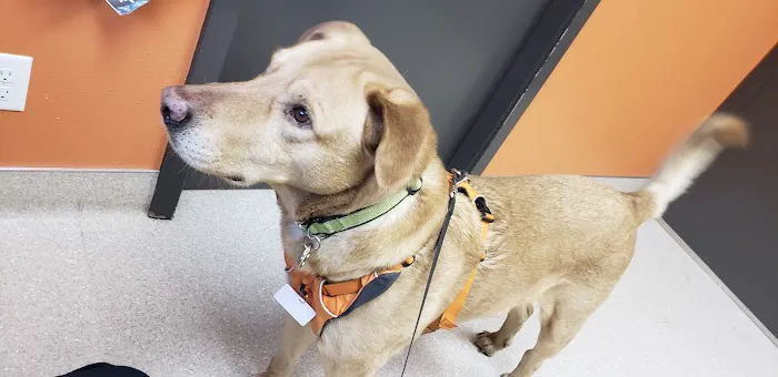 Big Thompson Animal Hospital 5