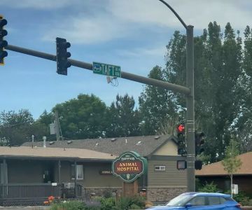 Big Thompson Animal Hospital