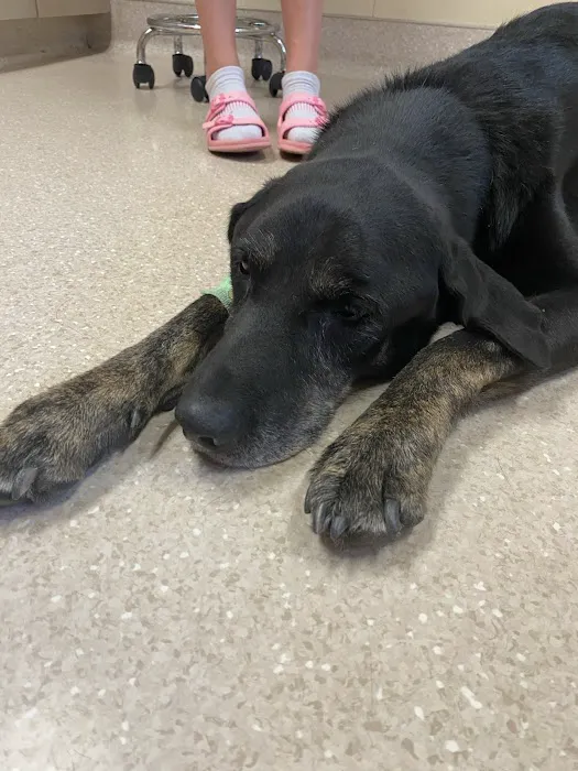 Big Thompson Animal Hospital 9