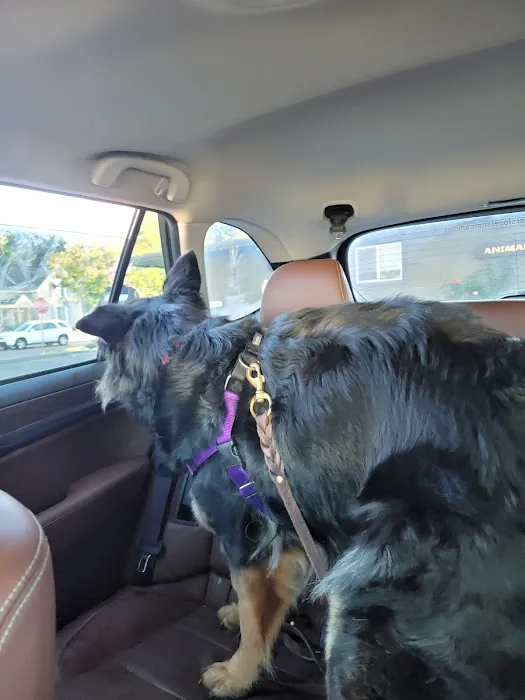 Big Thompson Animal Hospital 7