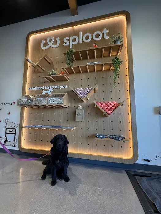 Sploot Veterinary Care - Interquest 4