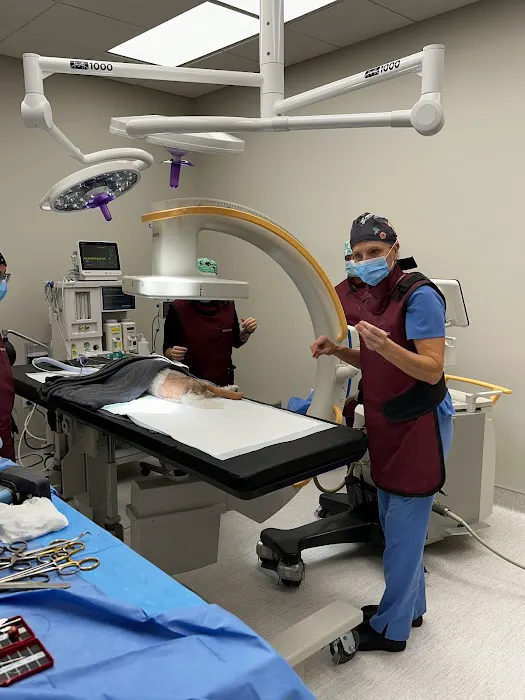 North Springs Veterinary Referral Center 2