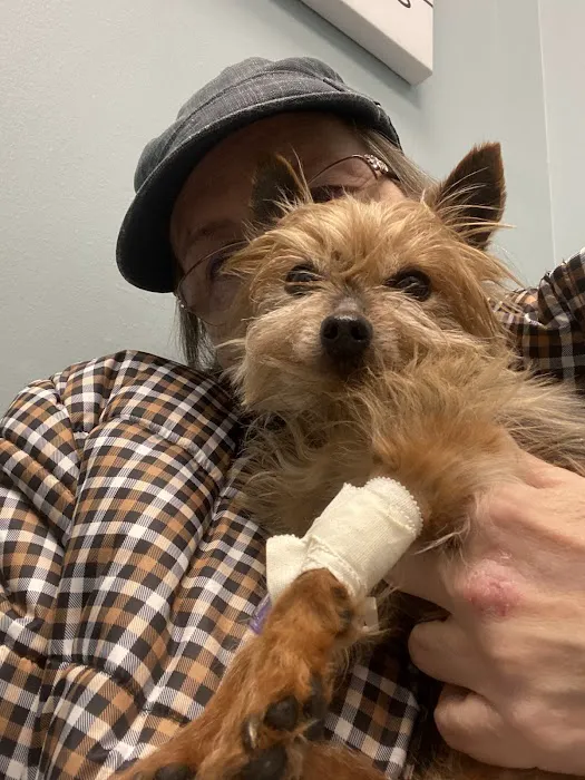 North Springs Veterinary Referral Center 7