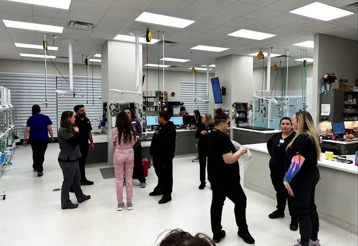 North Springs Veterinary Referral Center 6