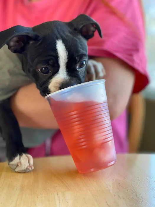 Banfield Pet Hospital 3