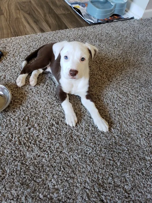 Banfield Pet Hospital 9