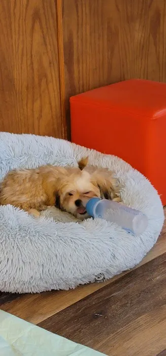 Banfield Pet Hospital 2