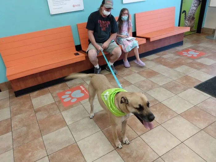 Banfield Pet Hospital 8