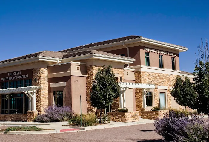 Pine Creek Veterinary Hospital 10