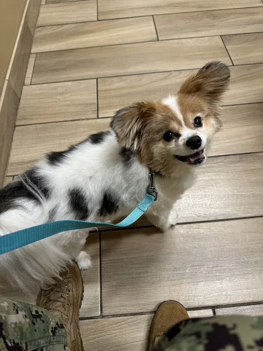 Pine Creek Veterinary Hospital 4