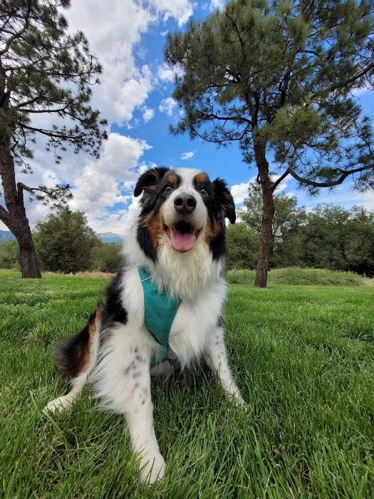 Pine Creek Veterinary Hospital 6