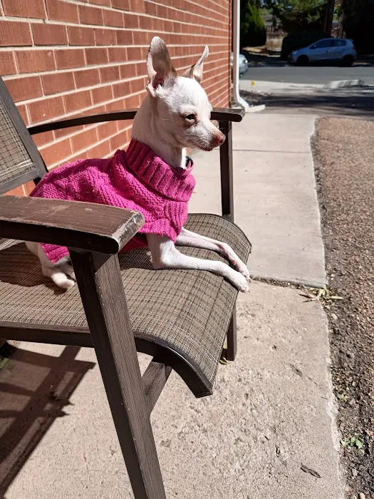 Pine Creek Veterinary Hospital 9
