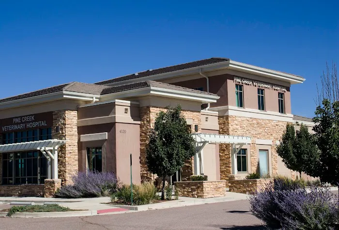Pine Creek Veterinary Hospital 8