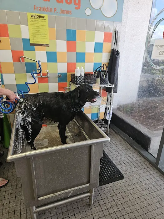 Unleashed by Petco-Closed 9