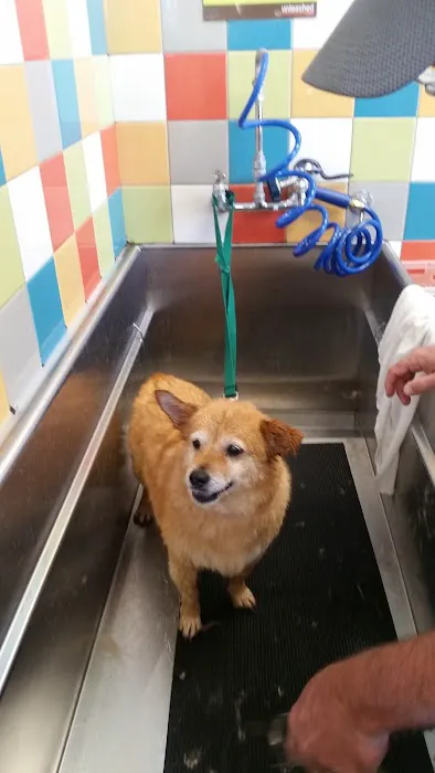 Unleashed by Petco-Closed 8
