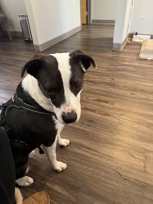 Briargate Boulevard Animal Hospital 1