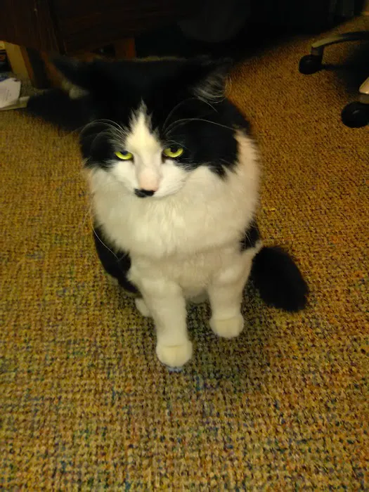 Briargate Boulevard Animal Hospital 6