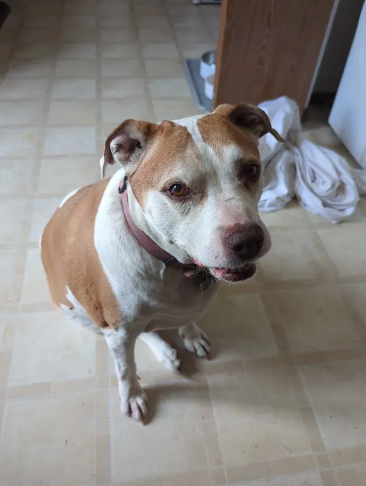 Briargate Boulevard Animal Hospital 3