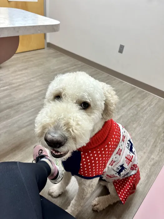 VCA Briargate Veterinary Clinic 2