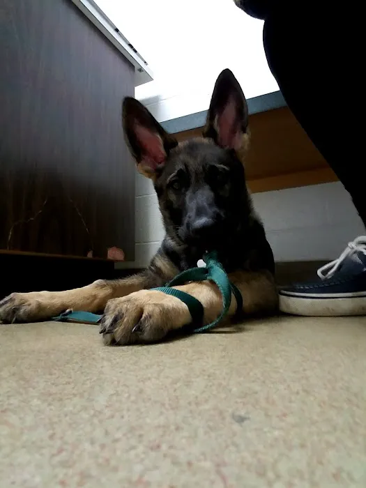 Willow Run Veterinary Clinic 8
