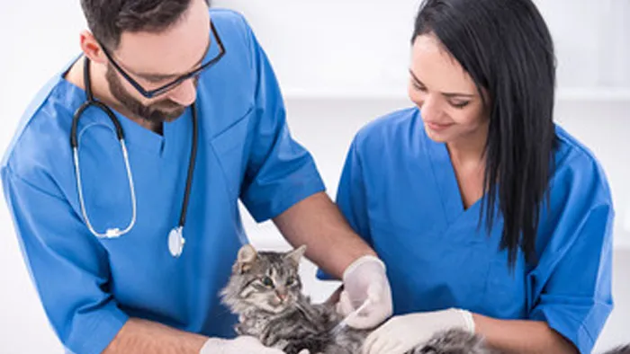 Willow Run Veterinary Clinic 9