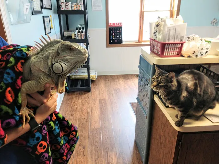 Lincoln Highway Veterinary Clinic 2