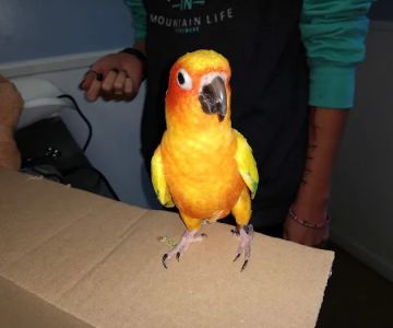 Lincoln Highway Veterinary Clinic