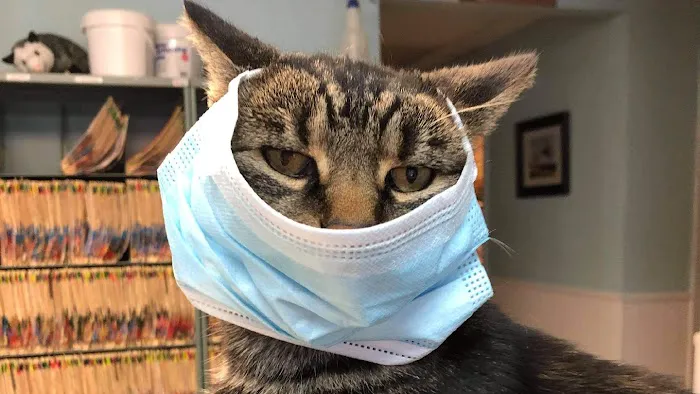 Lincoln Highway Veterinary Clinic 5