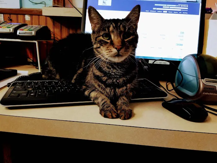 Lincoln Highway Veterinary Clinic 6