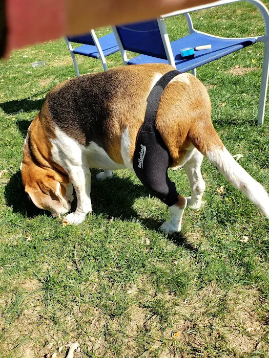 Lancaster Veterinary Specialties 10