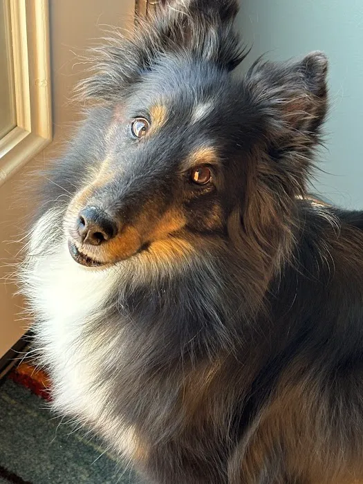 Lancaster Veterinary Specialties 9