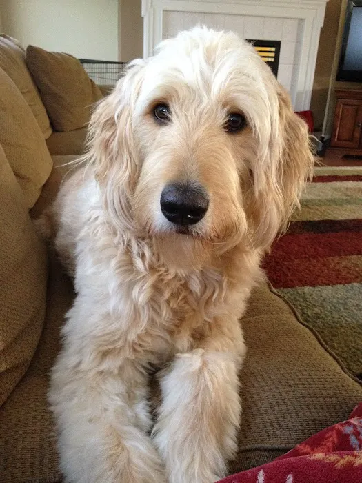Lancaster Veterinary Specialties 7
