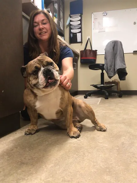 VCA Bridgeport Animal Hospital 3