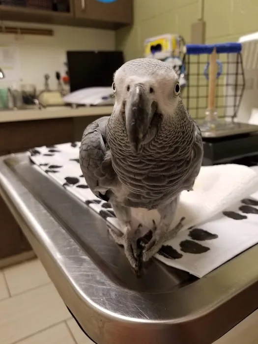 VCA Bridgeport Animal Hospital 5