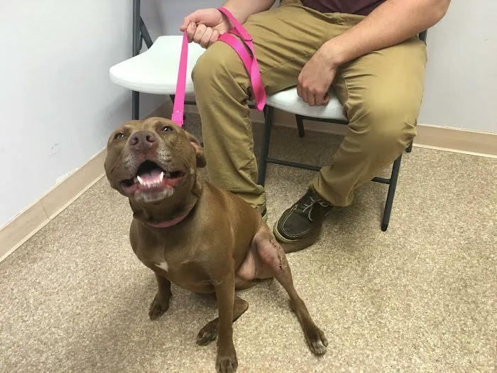 Red Rose Pet Care Center 3