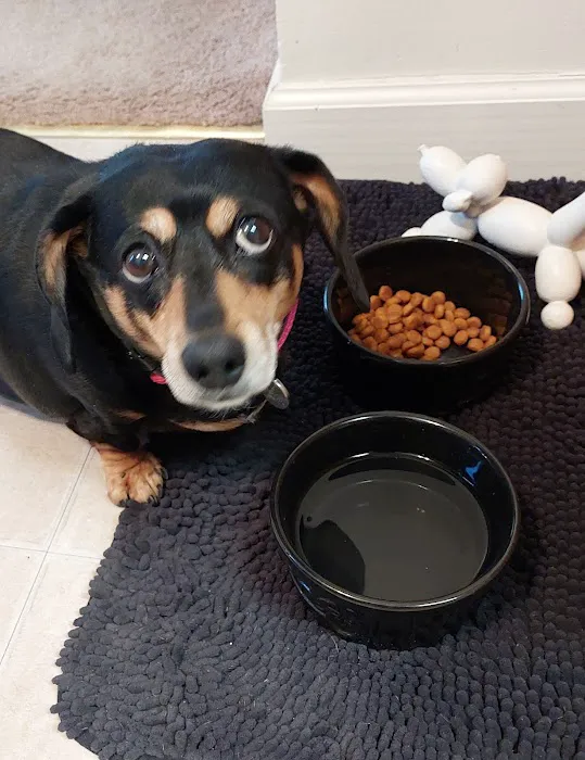 Willow Street Animal Hospital: Olson Marc DVM 1
