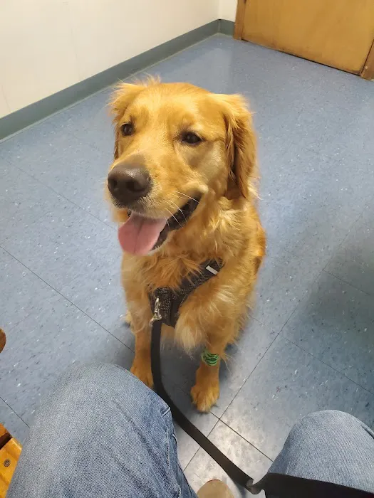 Animal Hospital of Willow Street 4