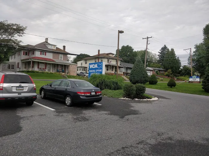 VCA Sinking Spring Animal Hospital 1