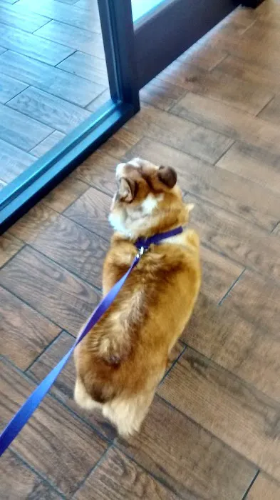 Friendly Paws Vet Clinic 1
