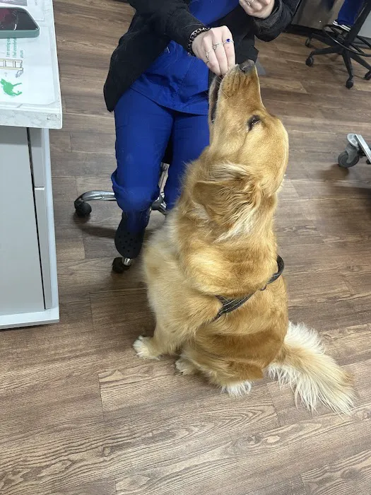 PetVet Vaccination Clinic 4