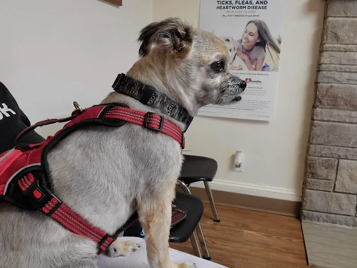 Aberdeen Veterinary Clinic 2