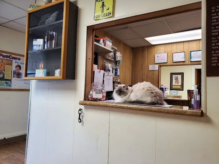Aberdeen Veterinary Clinic 1