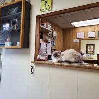 Aberdeen Veterinary Clinic ico