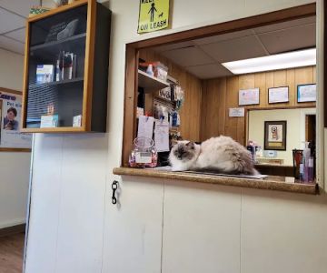 Aberdeen Veterinary Clinic